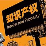 国家某研究中心知识产权服务项目商业计划书案例