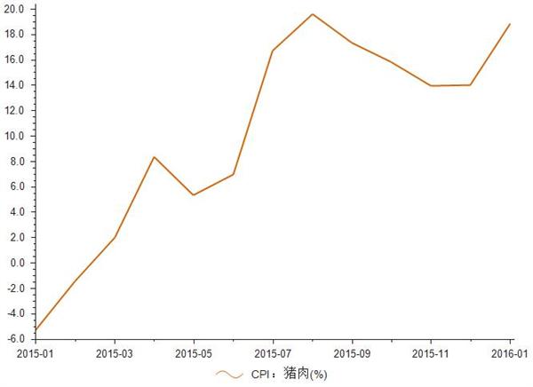 2015年1-2016年1月猪肉CPI统计