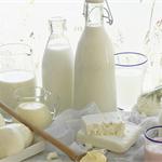 国际奶价一跌再跌 乳业市场现状浅析