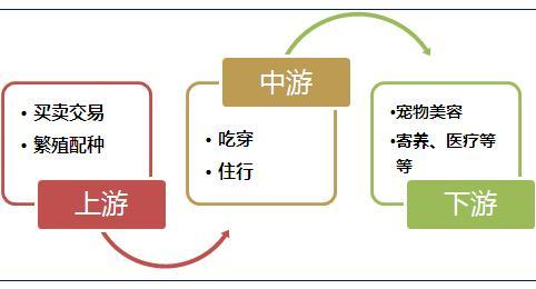 图表2：宠物行业产业链