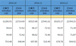 12月中國外儲<em>環</em>比再降1.3%  略高于預期