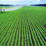 政府工作报告支持农村经济 农业产业化要向发达国家看齐