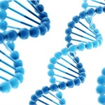 精准医疗行业系列观察之二，基因测序是基石