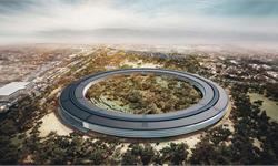 苹果飞船总部举办慈善拍卖会：胜者可与库克共进午餐