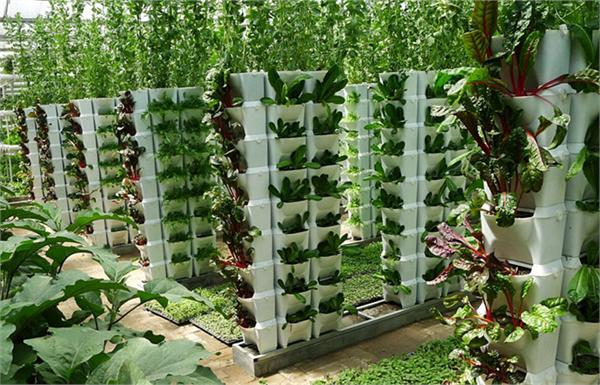 2025年AR眼镜Micro-OLED行业深度分析：现状剖析、前景展望与趋势洞察