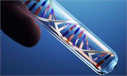 精准医疗行业发展势头良好 三胞集团加码布局