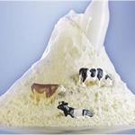 奶粉行业三大细分市场潜力分析
