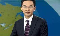 <em>郎</em><em>永</em><em>淳</em>醉驾被抓本人认罪认罚 离职央视后的他已是12家公司股东