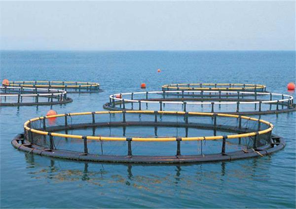 与其他农业业态相比,水产养殖还处于相对落后的生产状态,技术含量和