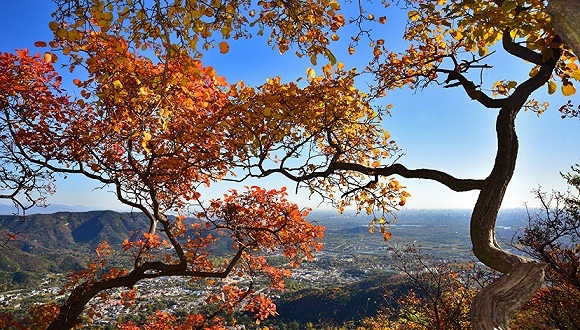 田园综合体