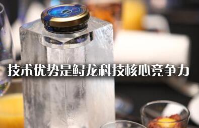 鲟龙科技实现小投入、大传播式创意营销策略