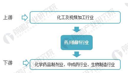 图表3：药用辅料行业产业链