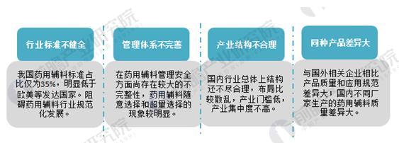 图表5：中国药用辅料行业发展存在的主要问题