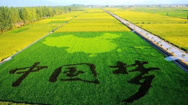 农旅融合