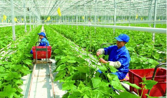 转型现代农业六大基本要素_现代农业产业规划 - 前瞻产业研究院