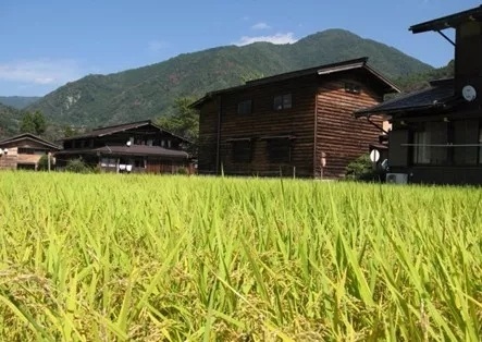 日本绿岛农业