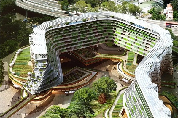 新加坡都市农业