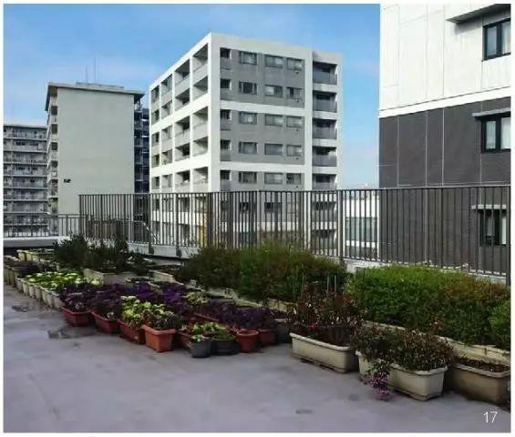 图17.屋顶花园