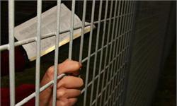 世界阅读日丨企业家在狱中都读什么书？