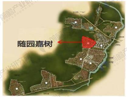 随园嘉树