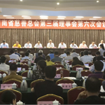 <em>金鑫</em>集团、鑫融基董事长年永安获全省慈善总会表彰