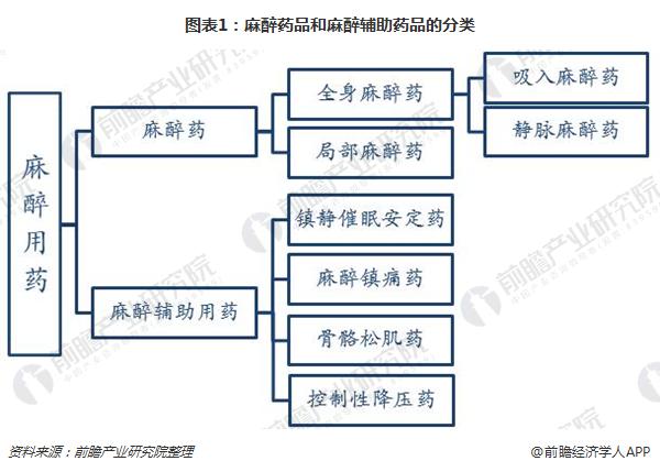 图表1：麻醉药品和麻醉辅助药品的分类