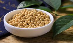 数据热 | 中国对美国大豆加征关税,没有美豆,中国也不会豆慌