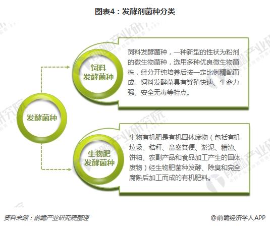 圖表4：發(fā)酵劑菌種分類