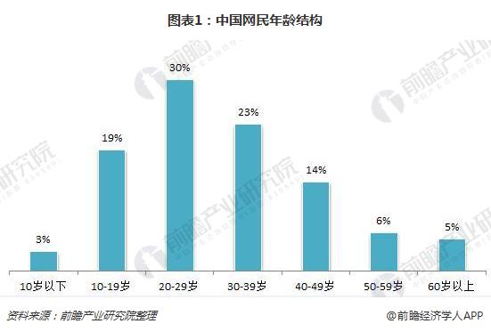 图表1：中国网民年龄结构