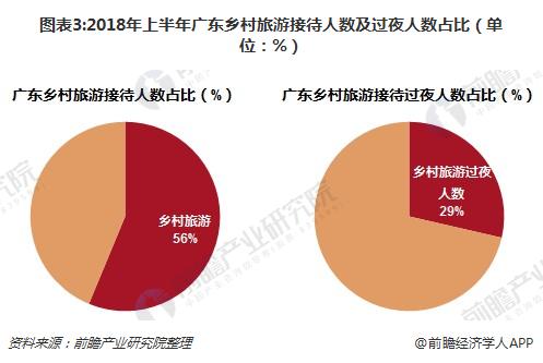图表3:2018年上半年广东乡村旅游接待人数及过夜人数占比（单位：%）