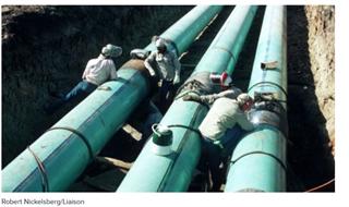 IEA：8月全球石油供应量创纪录达1亿桶/天 石油需求前景不乐观