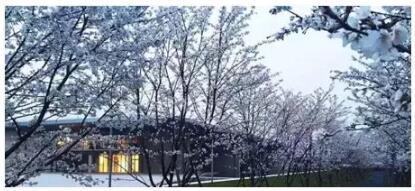 文旅小镇IP