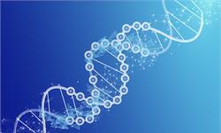 基因测序行业发展空间巨大 人工智能技术结合发展