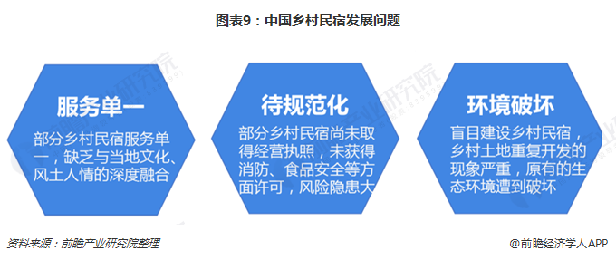 图表9：中国乡村民宿发展问题
