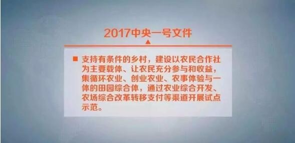 农村现代化