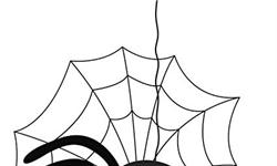 戏真多！打蜘蛛被误认家暴 澳大利亚男子戏精上身真相笑翻邻居