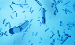 猖獗的超级细菌真“无药可救”？基因编辑技术可能会给我们带来希望