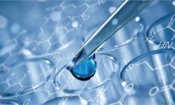 2019 经济大趋势_商业大趋势 抬头看十年,埋头做三年 1(2)