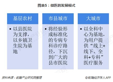 图表5：微医的发展模式  