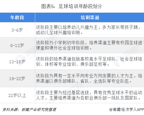 图表5：足球培训年龄段划分