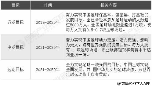 中国足球产业长期发展目标分析情况