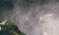 神奇！阿根廷惊现2.2亿年前恐龙墓 10只恐龙来自一个知之甚少的年代