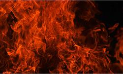 惊了！意大利学生烧烤引山火罚2亿 狡辩当了山火的“替罪羊”