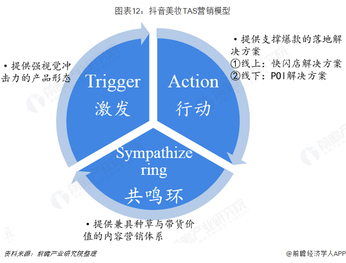 图表12：抖音美妆TAS营销模型  