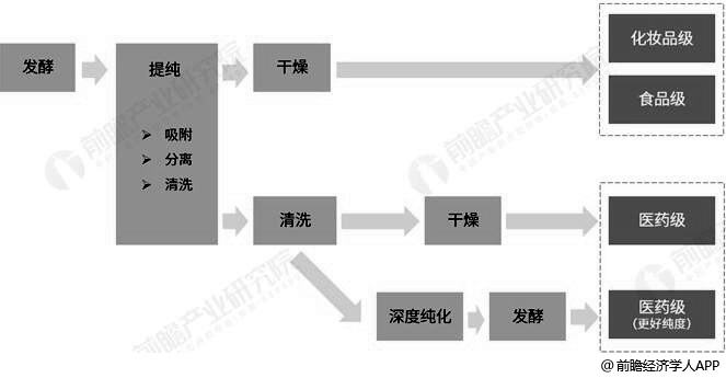 不同级别透明质酸生产工艺对比情况