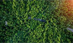 人间<em>炼狱</em>！亚马逊雨林大火已连烧21天 “世界动植物王国”遭浩劫