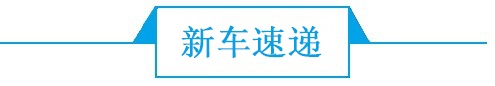 周报