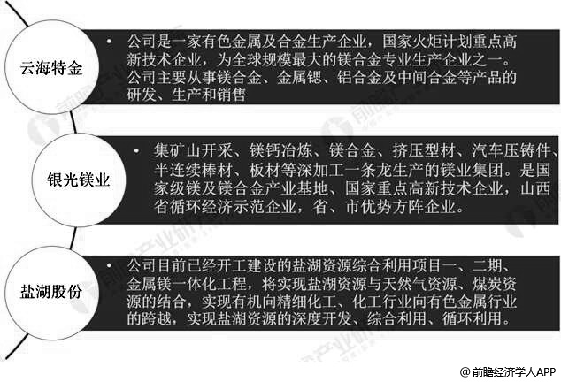 原镁提纯及镁合金铸造主要企业分析情况