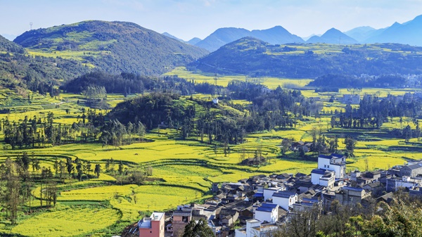 休閒農業與鄉村旅遊