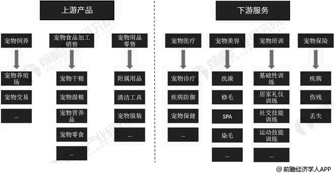 中国宠物行业产业链分析情况